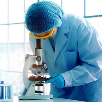 Lab